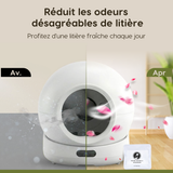 Image de diapositive