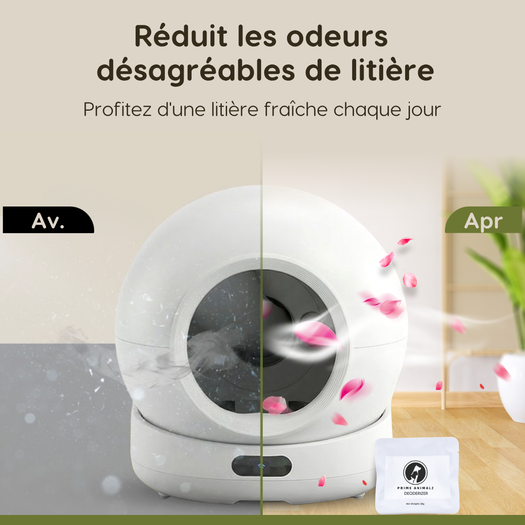 Image de diapositive