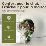 Image de diapositive