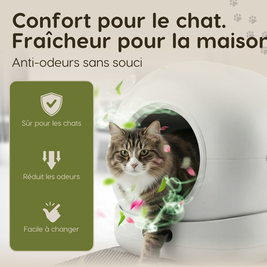 Image de diapositive