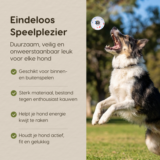 Prime AnimalZ ETPU hondenbal voor eindeloos speelplezier voor honden