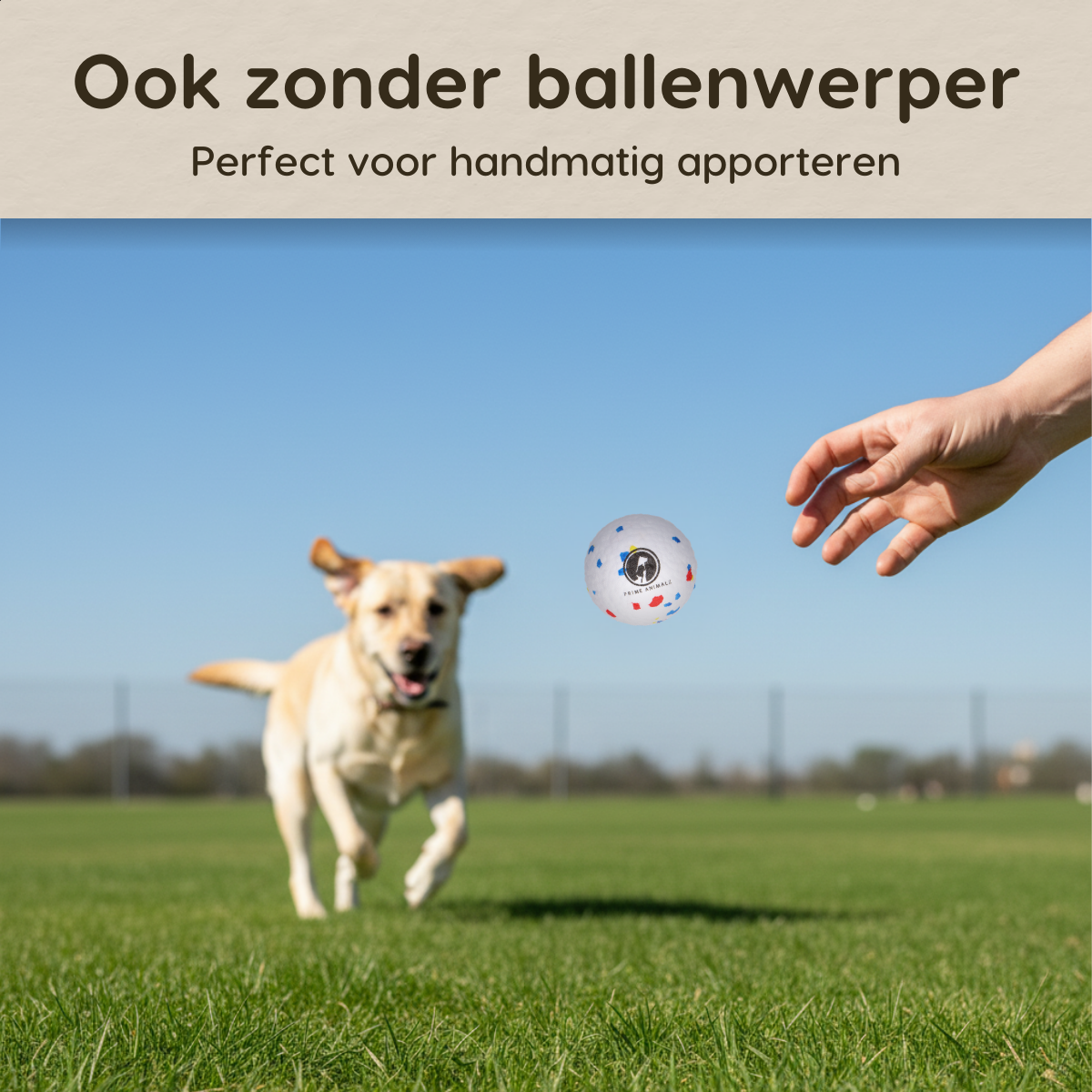 Prime AnimalZ ETPU hondenbal ook zonder automatische ballenwerper te gebruiken