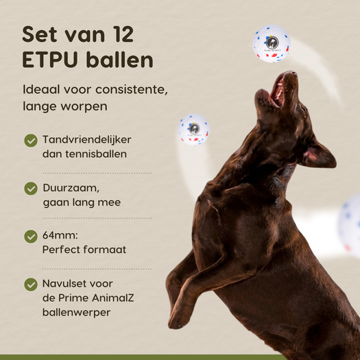 Details van de Prime AnimalZ ETPU hondenballen set van 12