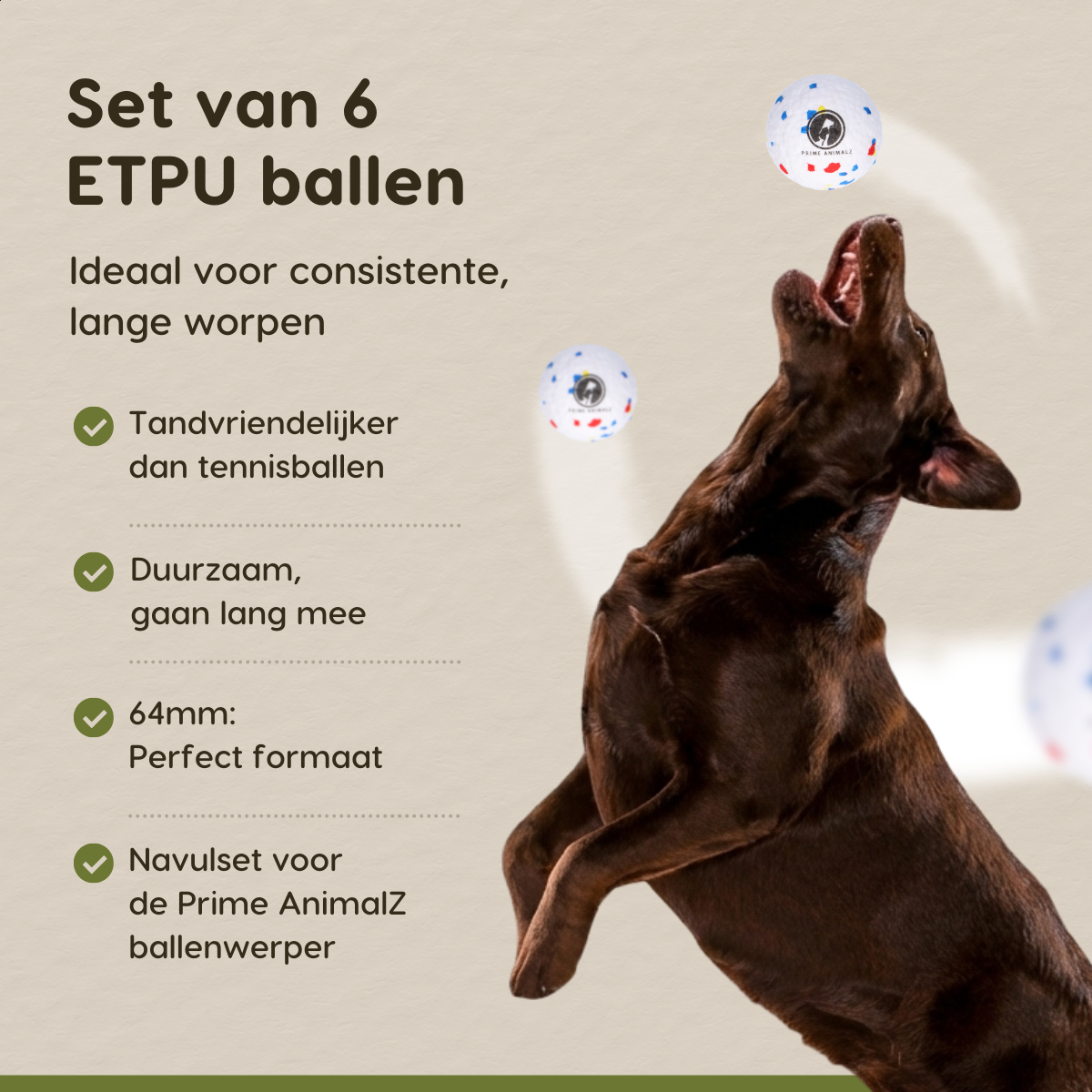 Details van de Prime AnimalZ ETPU hondenballen set van 6