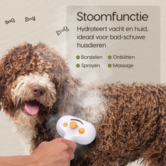 Stoomfunctie